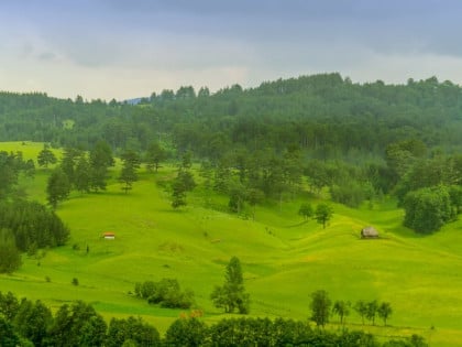 Između Tare i Zlatibora krije se selo koje čuva jednu od najpoznatijih srpskih misterija