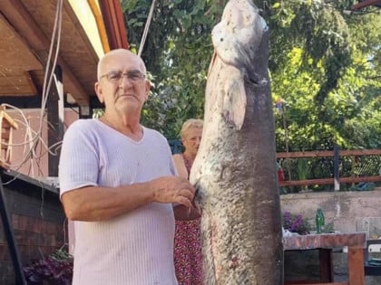 Zijo ulovio kapitalca od 53 kilograma