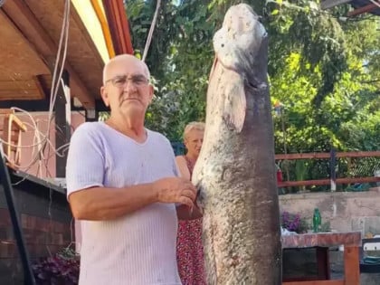 Ulovio soma od 53 kilograma na Modračkom jezeru