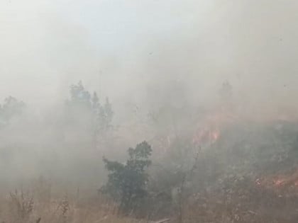 Пожар код Теслића: Ватрогасци и мјештани на терену