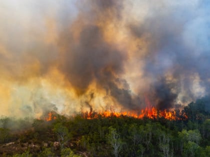 Požar u rejonu Rajakovog brda pod kontrolom