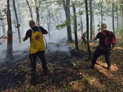 Услијед вјетра поново активиран пожар у рејону Рајаковог брда