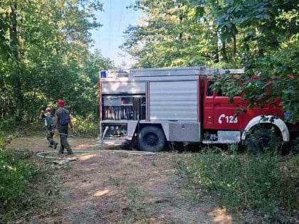 Požar u Srđevićima ugašen nakon dva dana borbe, izgorjelo oko 50 hektara