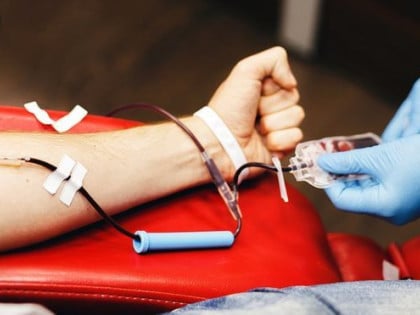 Ћосић: Вратити надлежности служби за трансфузију крви болници "Србија"