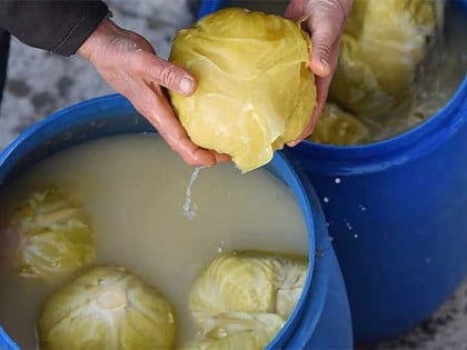 Koliko soli ide na 10 litara vode za kiseli kupus?