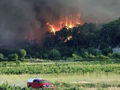 Одбила га дјевојка, па запалио шуму на Пељешцу: Детаљи хапшења кувара из БиХ