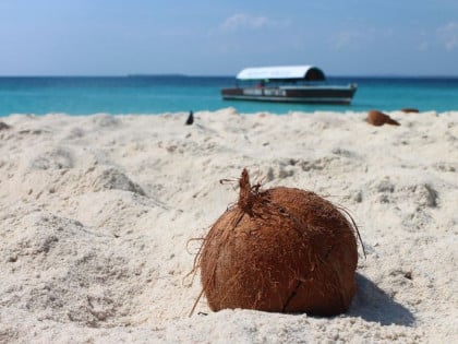 Rajske plaže kriju zanimljivu priču: Na Zanzibaru je rođena jedna od najvećih muzičkih legendi