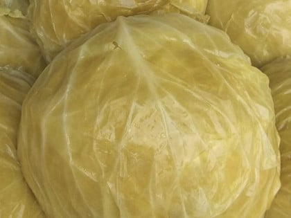 Руси имају посебан начин кисељења купуса