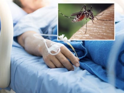 Na Kosovu i Metohiji prvi smrtni slučaj od virusa Zapadnog Nila