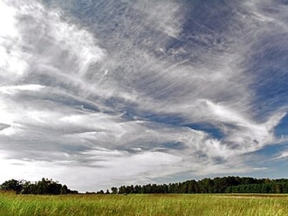 Облаци и киша у већем дијелу Српске, Херцеговина сунчана