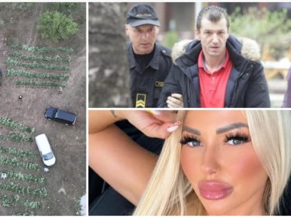 Шта је открила акција у којој је пронађена плантажа марихуане