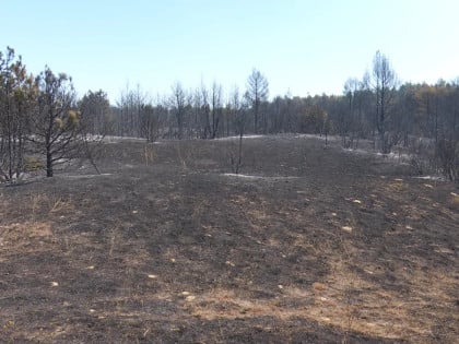 Poslije 52 dana ugašen požar u Deliblatskoj peščari