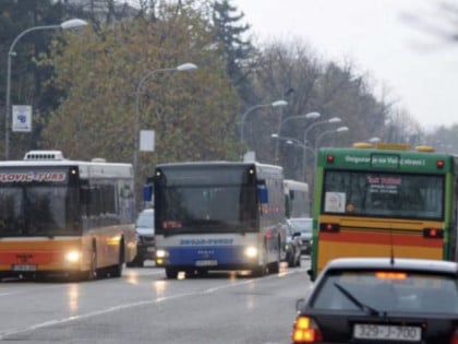 Mirna Savić Banjac: Javni prevoz neće poskupjeti