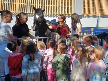 "Borikova promocija sporta“: Praznik sport(ov)a