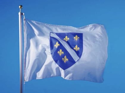 Uklonili grb Nemanjića, sad bi ljiljanima mahali po Banjaluci