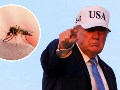 Трамп наредио лов на комарце: До 2028. године смањење њихове популације за 90 одсто