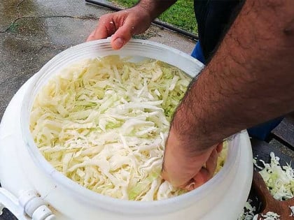 Све тајне кисељења купуса: Како да рибанац траје читаве зиме