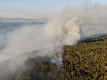 Gore šuma i nisko rastinje iznad Tičića, teren nepristupačan