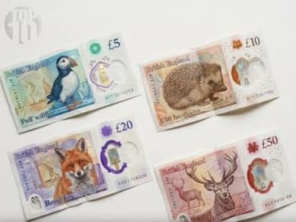 Životinje na novim britanskim novčanicama umjesto istorijskih ličnosti