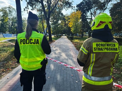 Још један напад ножем у школи у Пољској: Дјечак убио жену