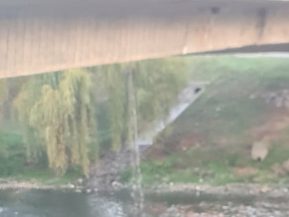 Curi voda sa mosta Venecija (VIDEO)