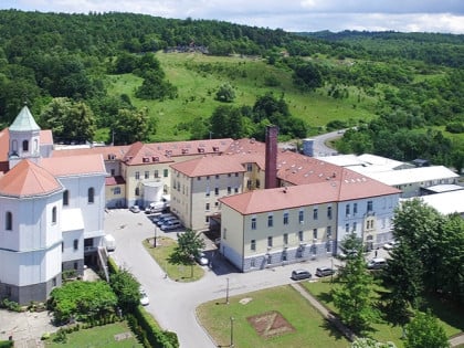 Institut „Dr Miroslav Zotović“ mijenja naziv u „Prof. dr Goran Talić“
