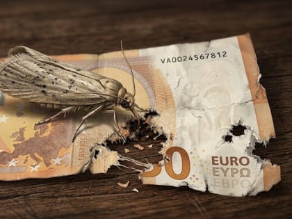 Inflacija poput moljca izjela evro