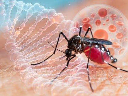 Batut: U Srbiji registrovano 60 slučajeva groznice Zapadnog Nila