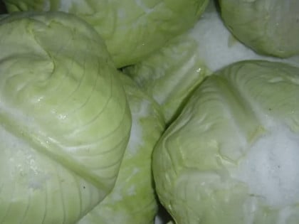 Како изабрати купус за зимницу