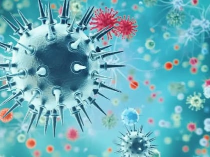 Smrtonosni virus prvi put otkriven kod čovjeka: Pacijent iz Francukse preminuo
