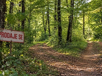 Шума надомак Бањалуке на продају, против власника се води извршни поступак